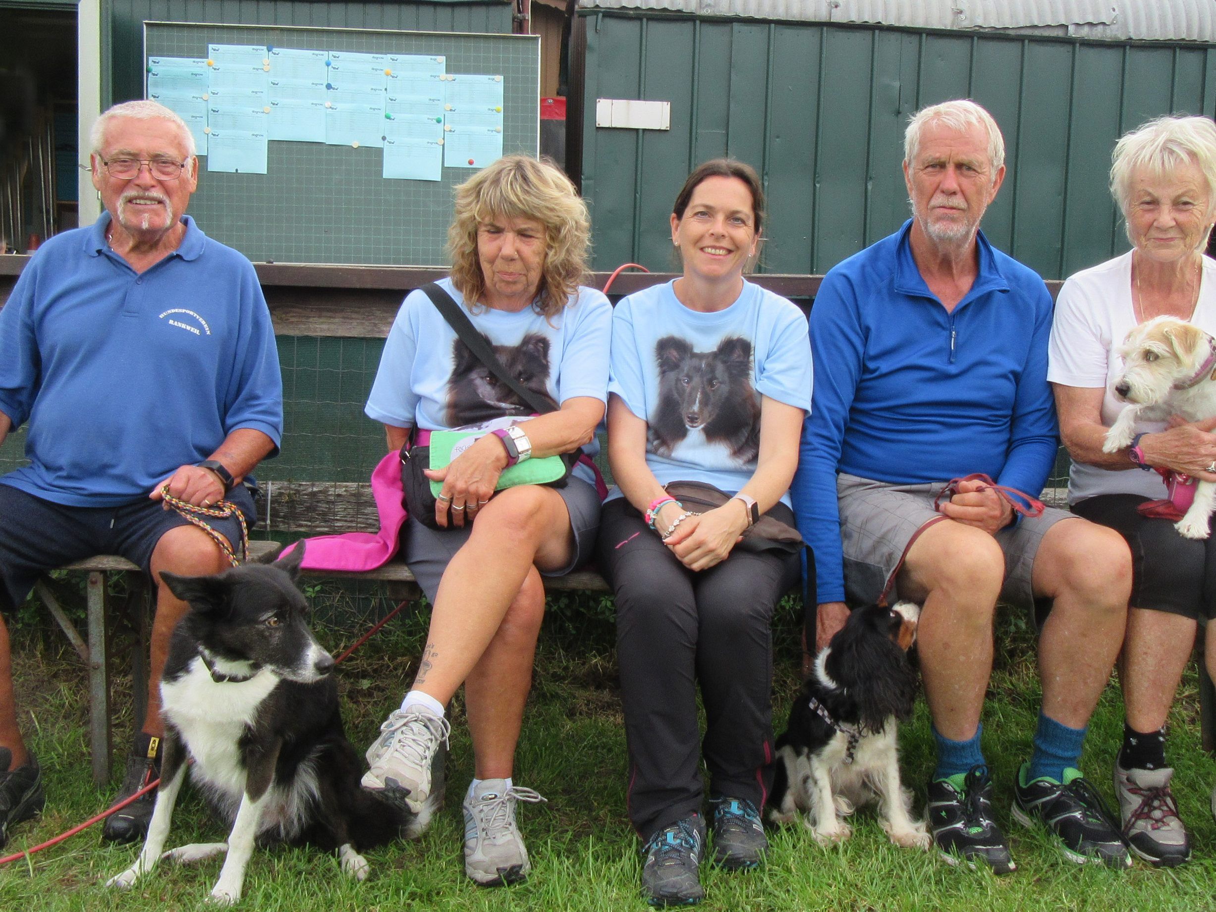 VHV Rankler Agility Starter