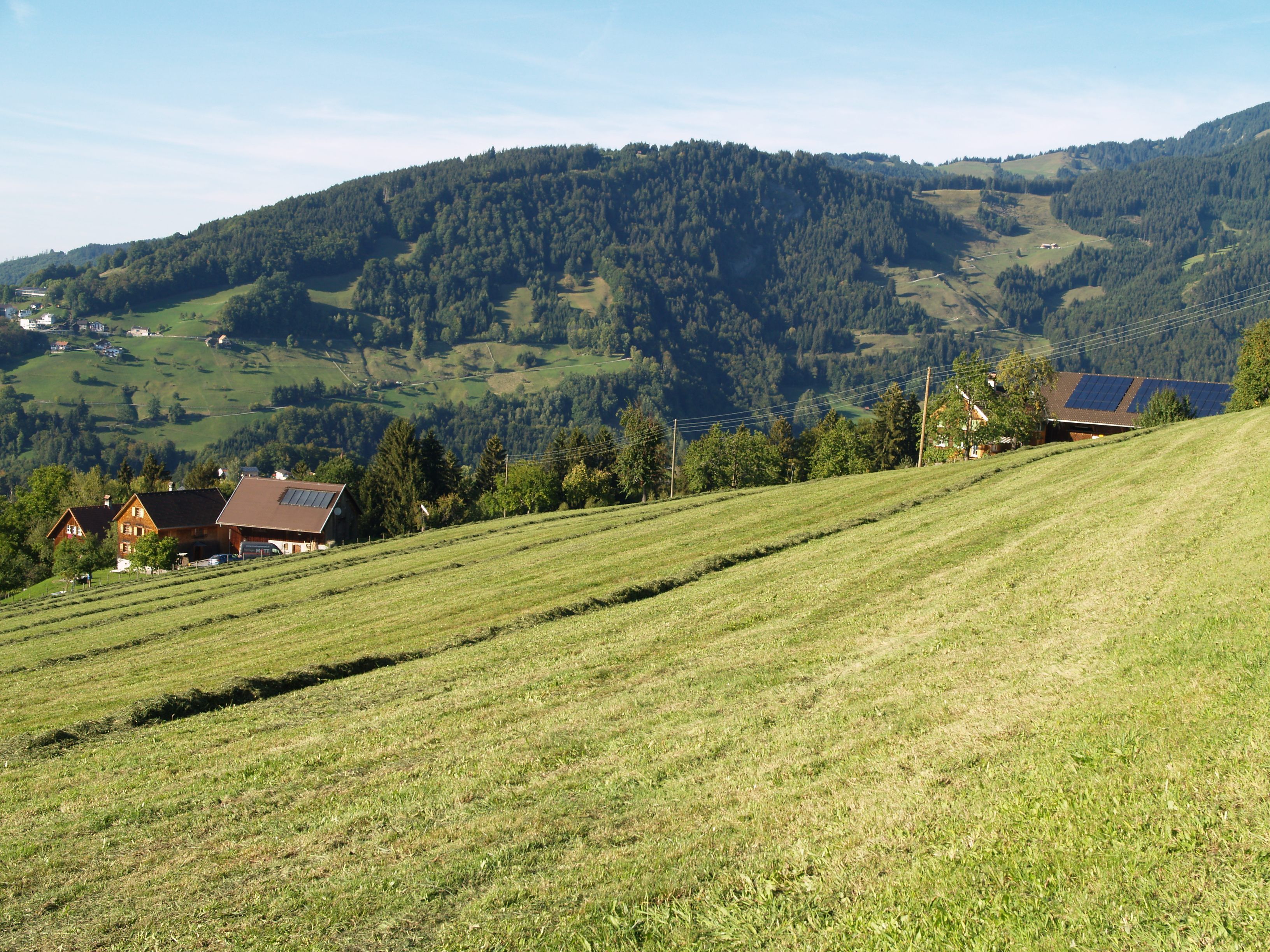 Die sommerliche Trockenheit ließ in der Parzelle Sennewies die Quelle versiegen. Nun sucht die Gemeinde nach einer beständigen Wasserversorgung für die Bewohner. Die sommerliche Trockenheit ließ in der Parzelle Sennewies die Quelle versiegen. Nun sucht die Gemeinde nach einer beständigen Wasserversorgung für die Bewohner.