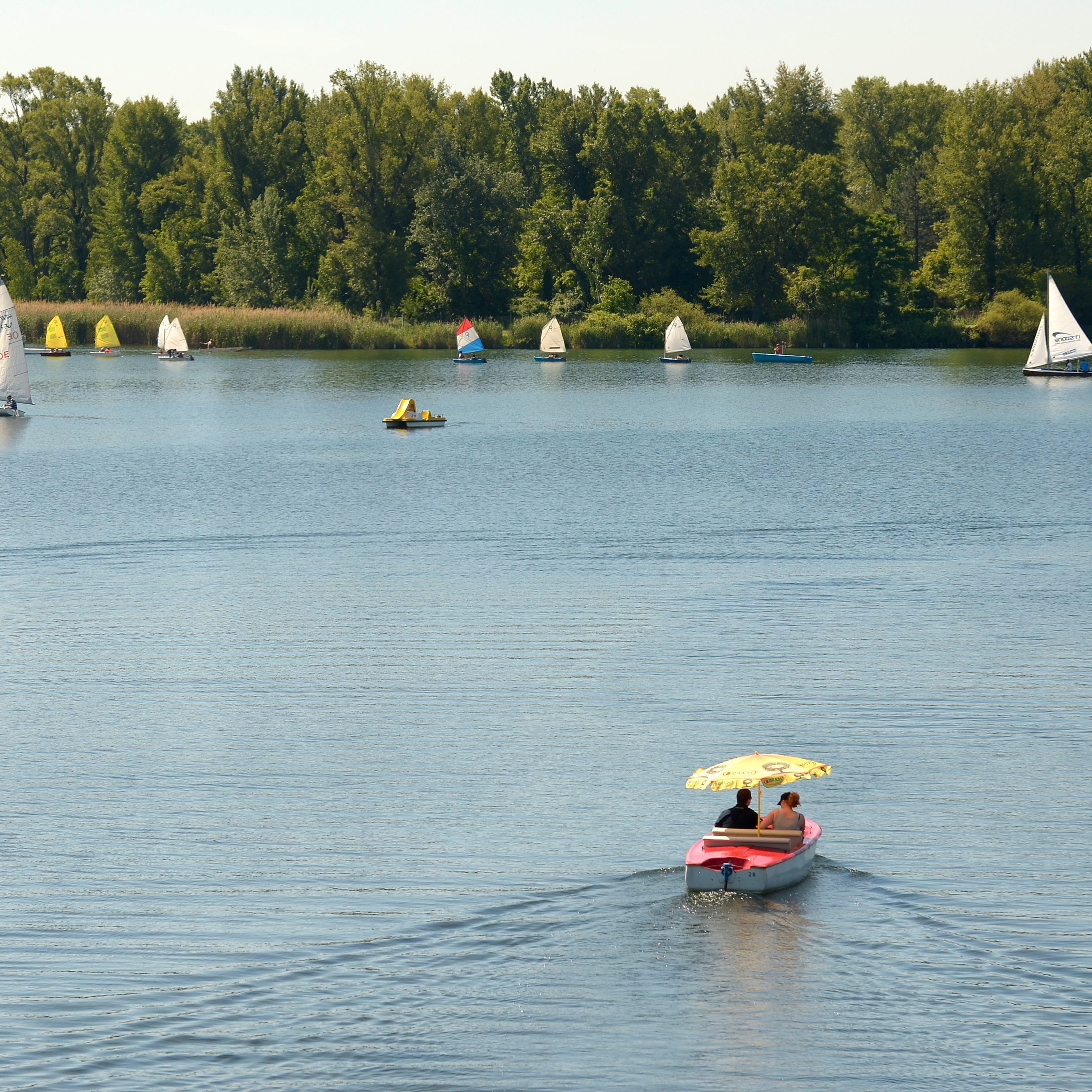 Die App gibt viel Wissenswertes über die Alte Donau Preis.