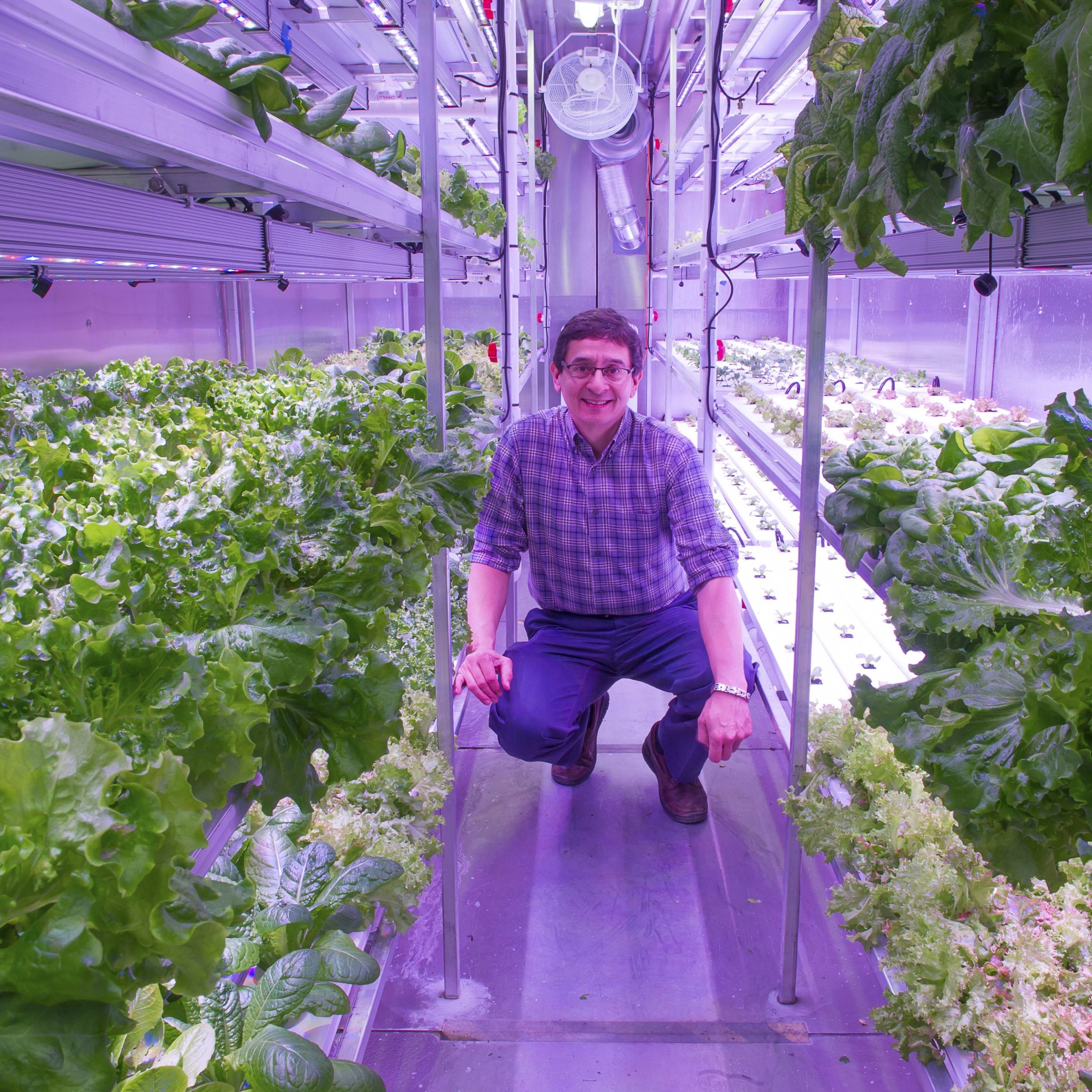Salat selbst in Alaska: Hier steht Will Anderson neben seiner Indoor-Farm in Kotzebue, Alaska.
