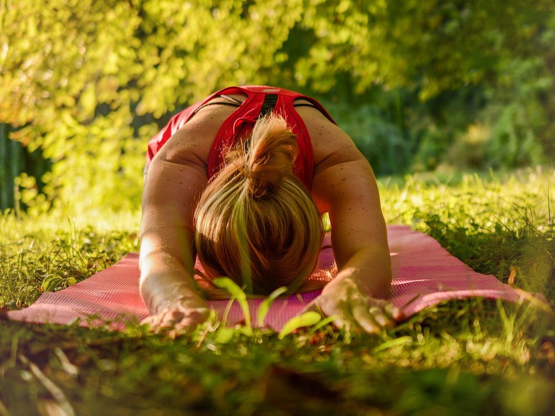 45.000 Menschen nutzten das Gratis-Angebot von "Bewegt im Park". 45.000 Menschen nutzten das Gratis-Angebot von "Bewegt im Park".
