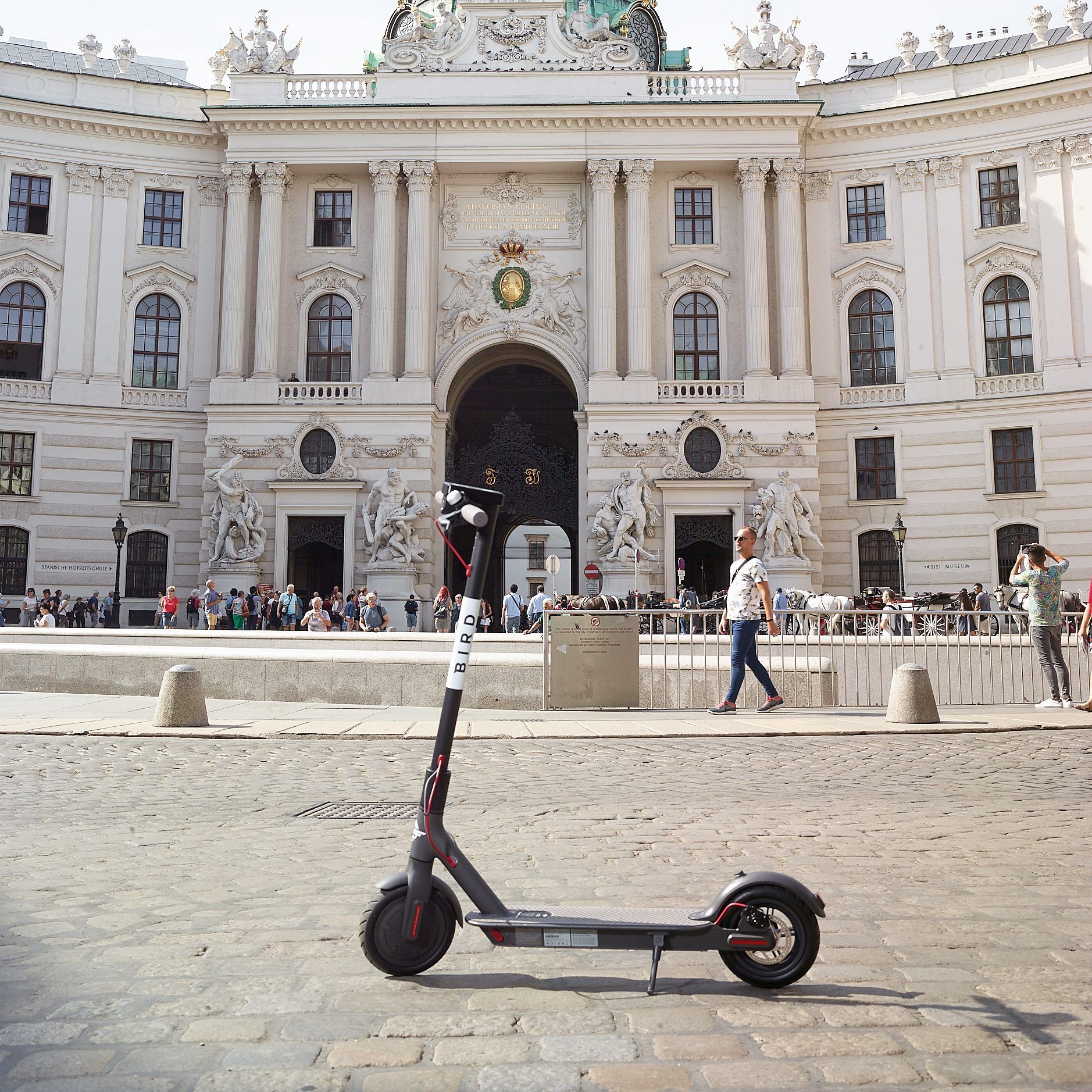 Zunächst will Bird mit einer kleinen Flotte in Wien starten.