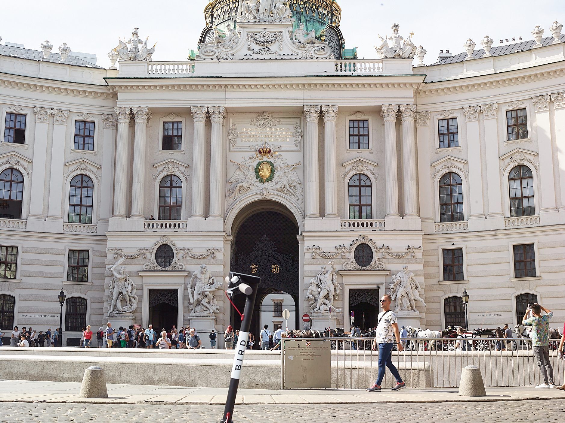 Zunächst will Bird mit einer kleinen Flotte in Wien starten. Zunächst will Bird mit einer kleinen Flotte in Wien starten.