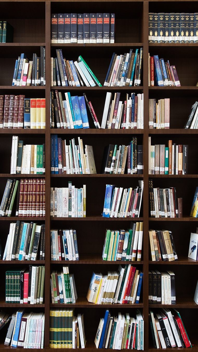 Mit der neuen Kampagne will Thalia heimische Lesemuffel erreichen.