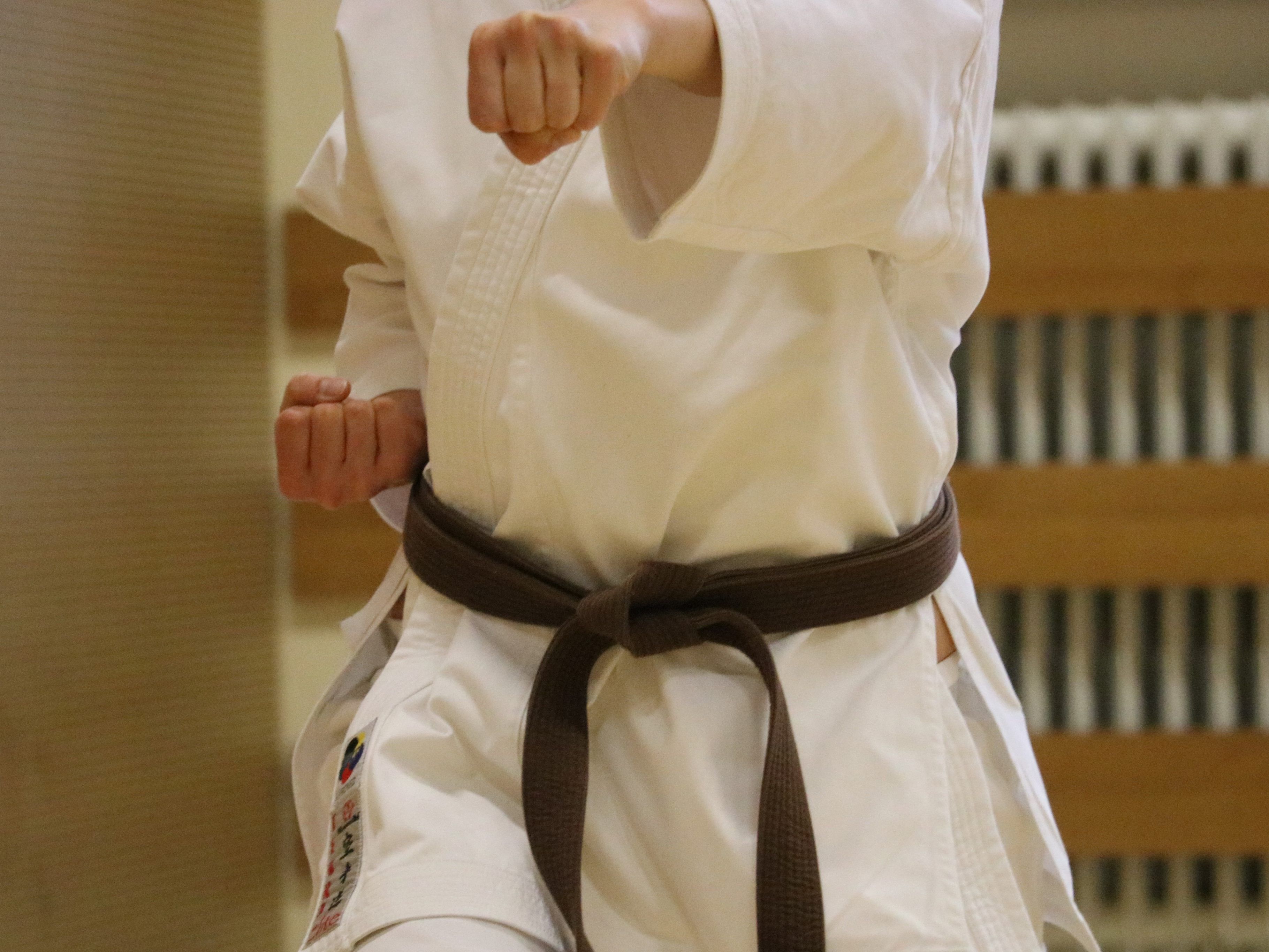 Karatekas werden im Stil des Shotokan Karate unterrichtet