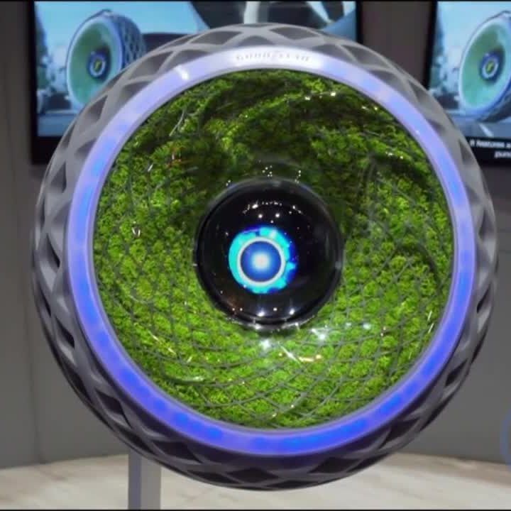 Mit Moosreifen gegen Feinstaub.