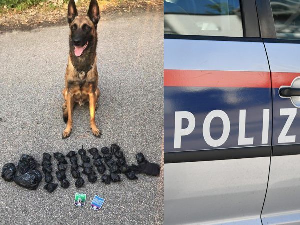 Mithilfe der Polizeihunde, konnten Suchtmittel sichergestellt werden. Mithilfe der Polizeihunde, konnten Suchtmittel sichergestellt werden.