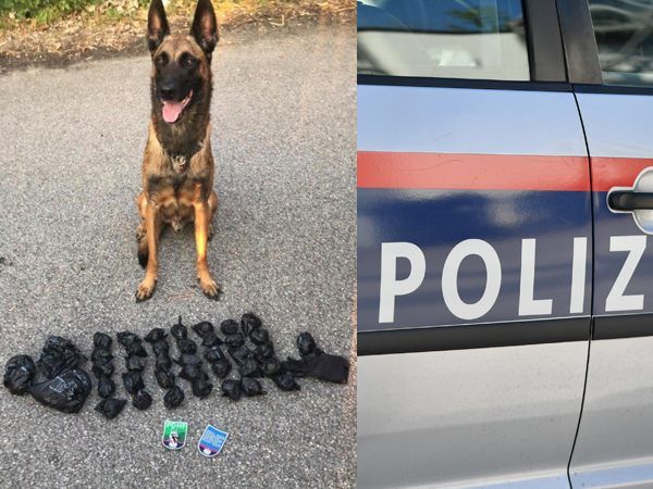 Mithilfe der Polizeihunde, konnten Suchtmittel sichergestellt werden.