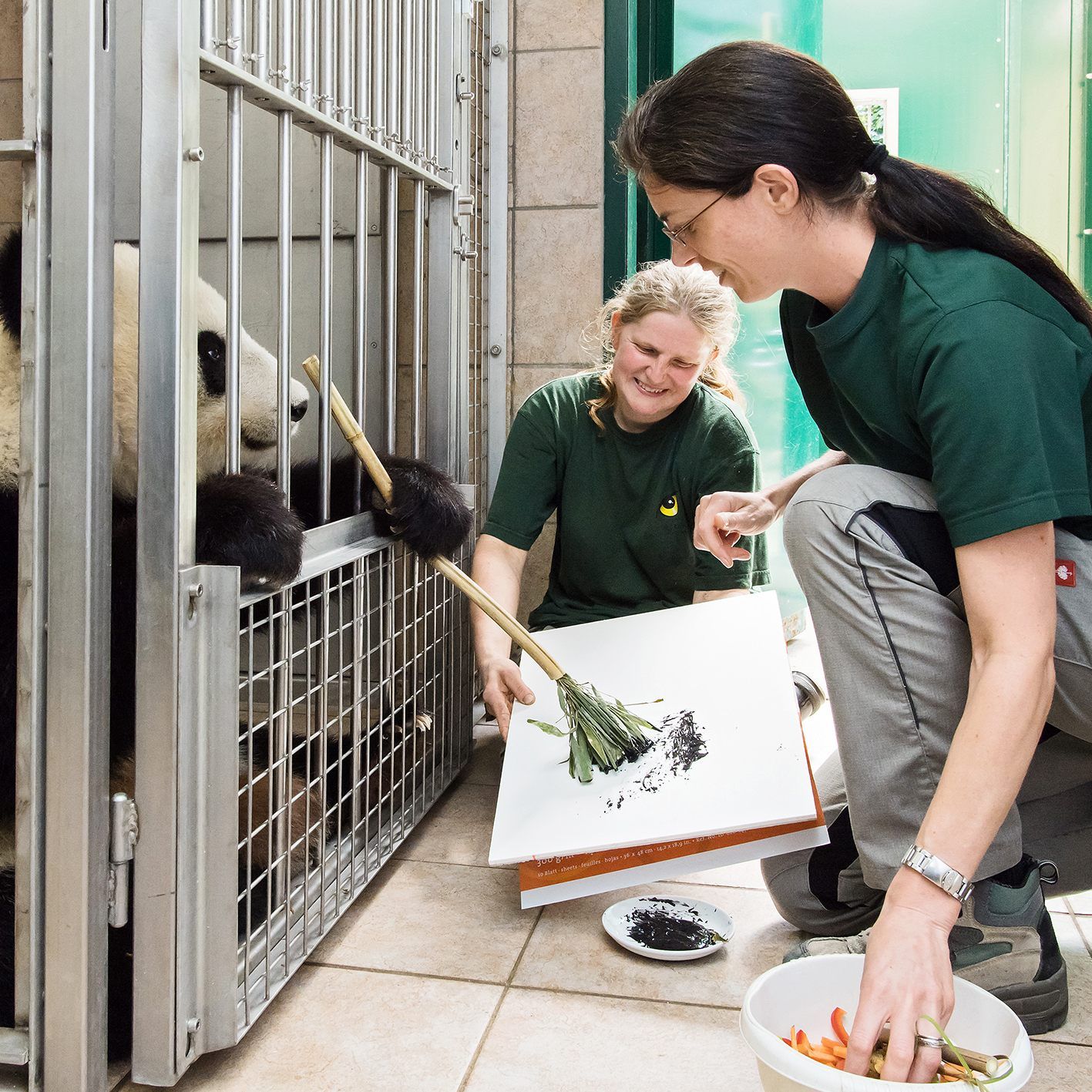 Die Bilder von Yang Yang sind nur noch bis Freitag zu erwerben.