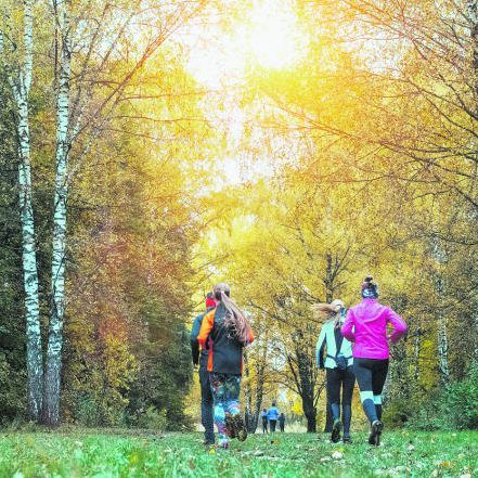 So trainiert man richtig!