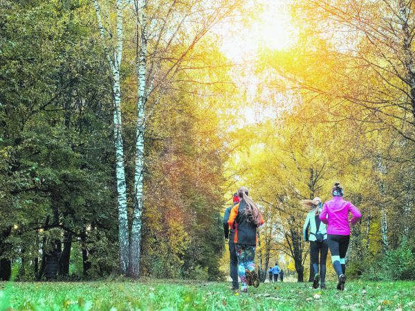 So trainiert man richtig!