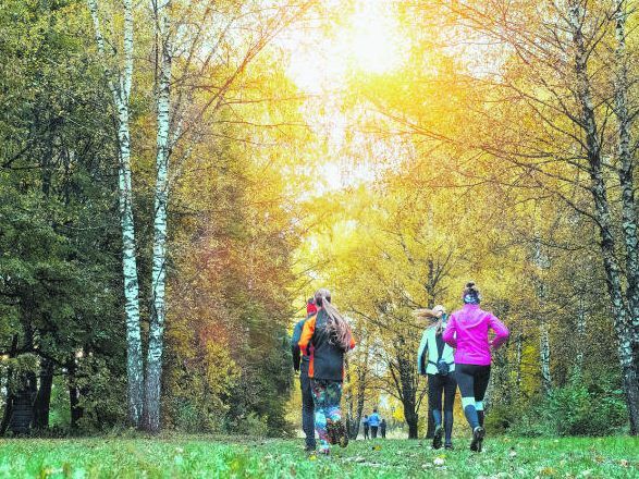 So trainiert man richtig!