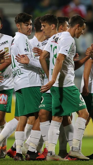 Die Grün_Weißen feiern die drei Punkte in Steyr