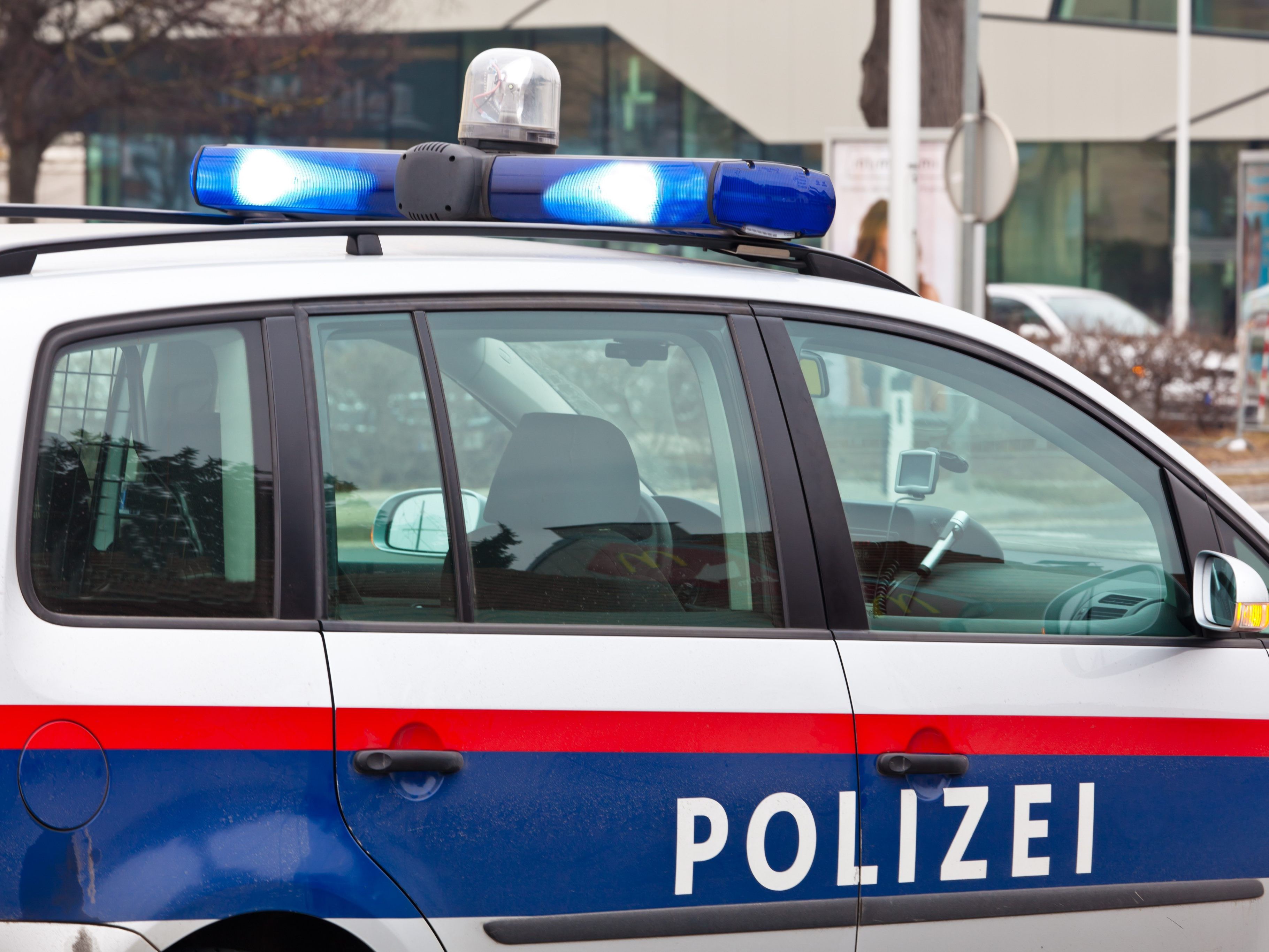 Der Mann konnte bis zum Eintreffen der Polizei von Zeugen festgehalten werden. Der Mann konnte bis zum Eintreffen der Polizei von Zeugen festgehalten werden.