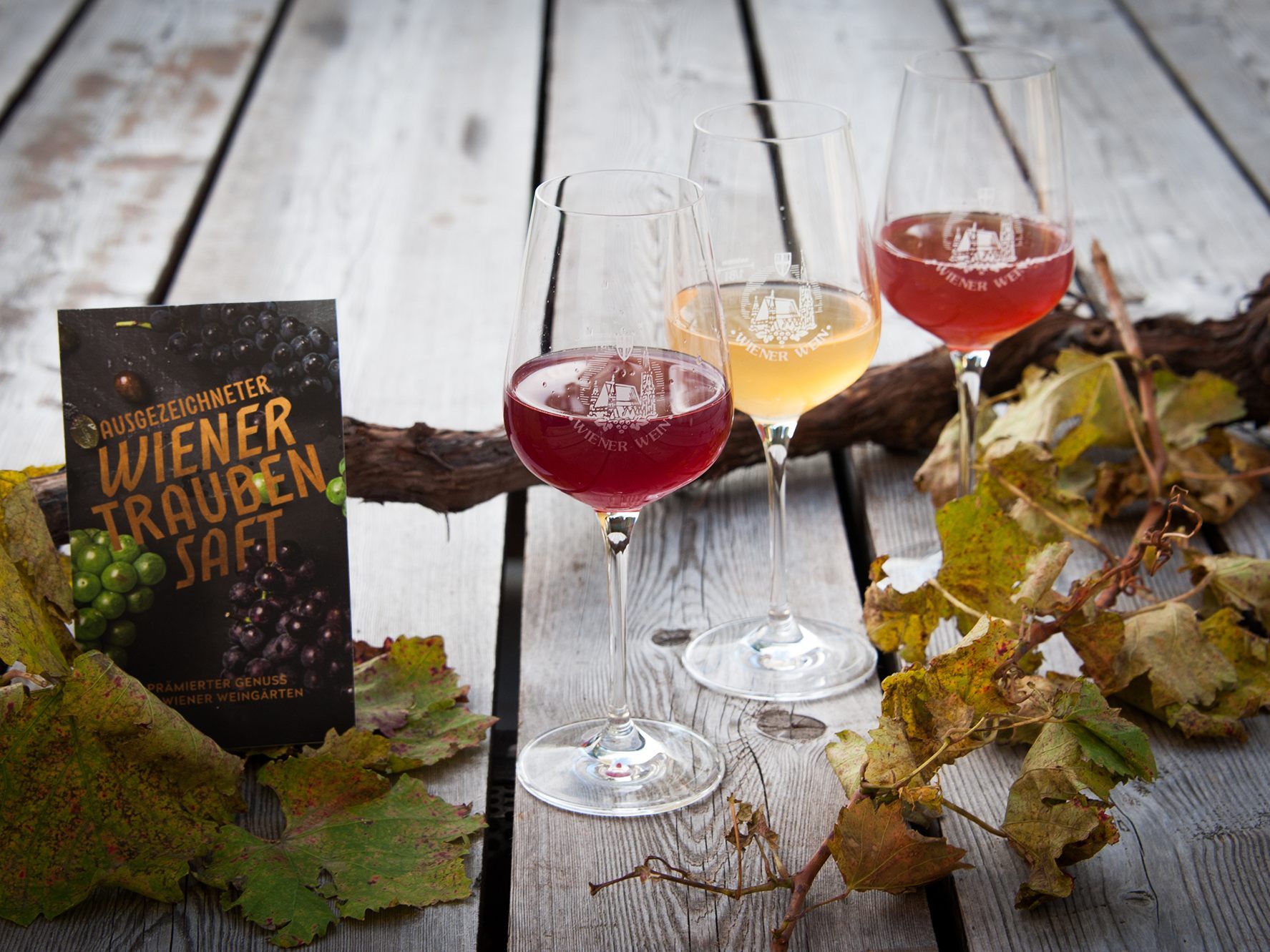 "Ausgezeichneter Wiener Traubensaft" ist bei 15 Winzern erhältlich.