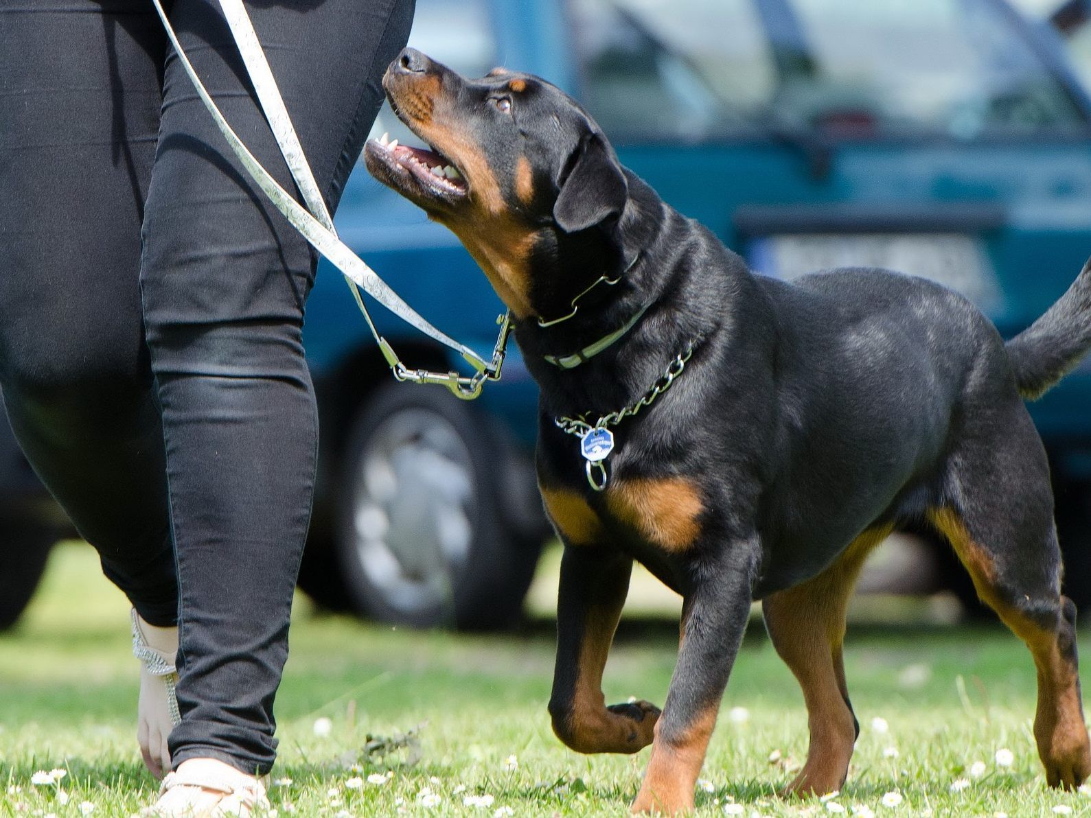 Der Vater des verstorbenen Kindes fordert eine generelle Leinen- und Beißkorbpflicht für Hunde.