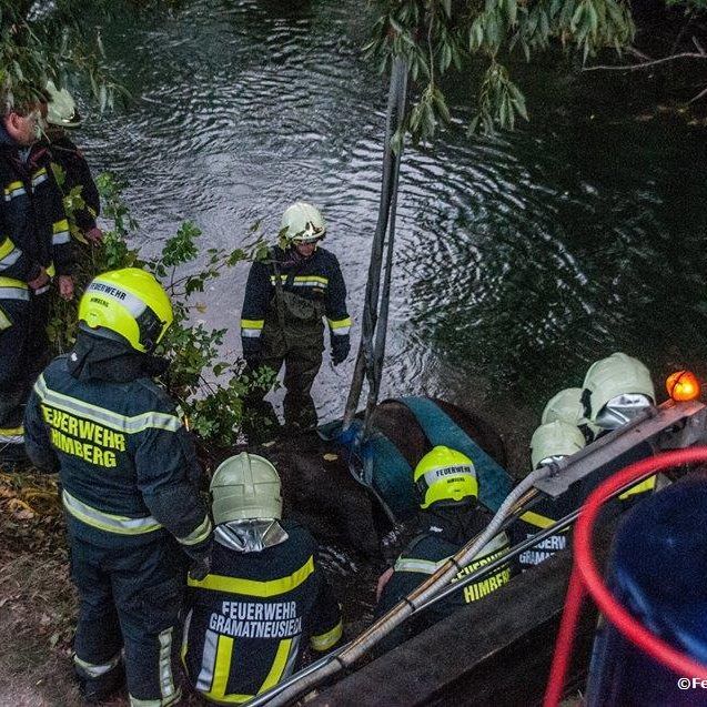 Das Pferd rutschte am Sonntagnachmittag in den Fluss und musste geborgen werden.