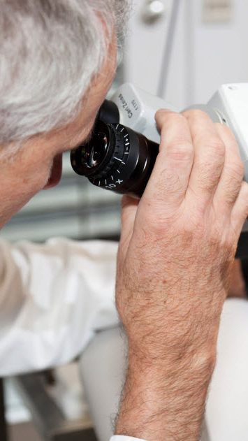 62. Österreichischer HNO-Kongress im Festspielhaus Bregenz