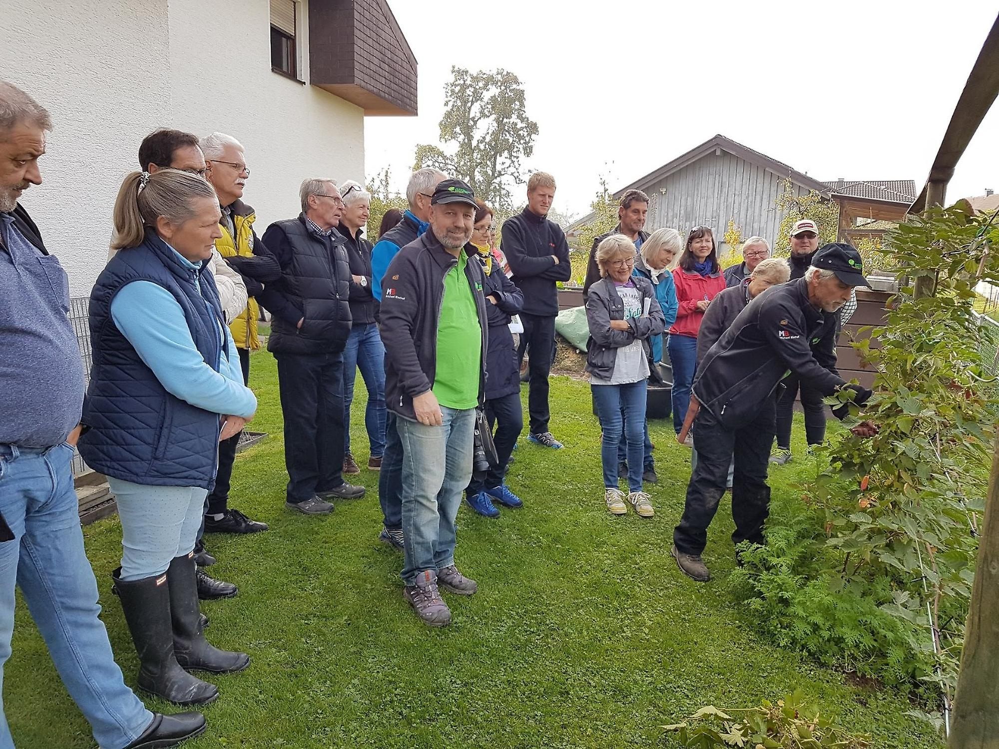 Himbeer-, Brombeer-, Johannisbeer-, Heidelbeer- und andere Sträucher...Werner Hauser zeigte wie`s geht. Himbeer-, Brombeer-, Johannisbeer-, Heidelbeer- und andere Sträucher...Werner Hauser zeigte wie`s geht.