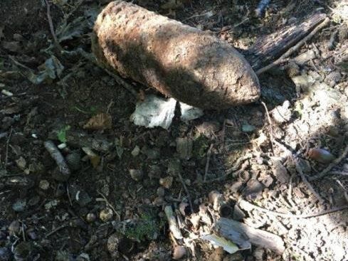 Donnerstagnachmittag musste eine Panzergranate in Wien-Hernals gesprengt werden.