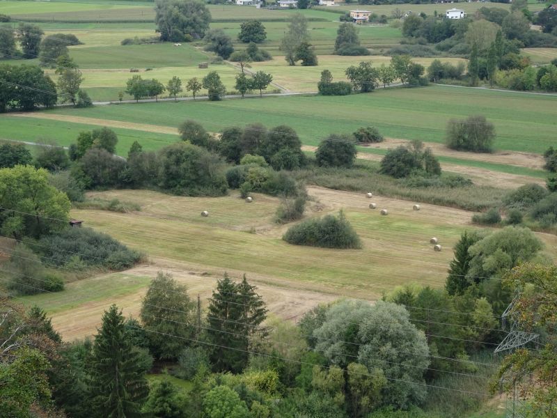 Koblacher Ried – kleinparzellige Kulturlandschaft Koblacher Ried – kleinparzellige Kulturlandschaft