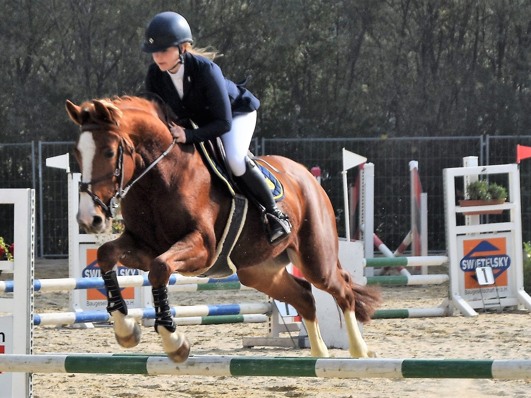 Großer Sport und edle Tiere