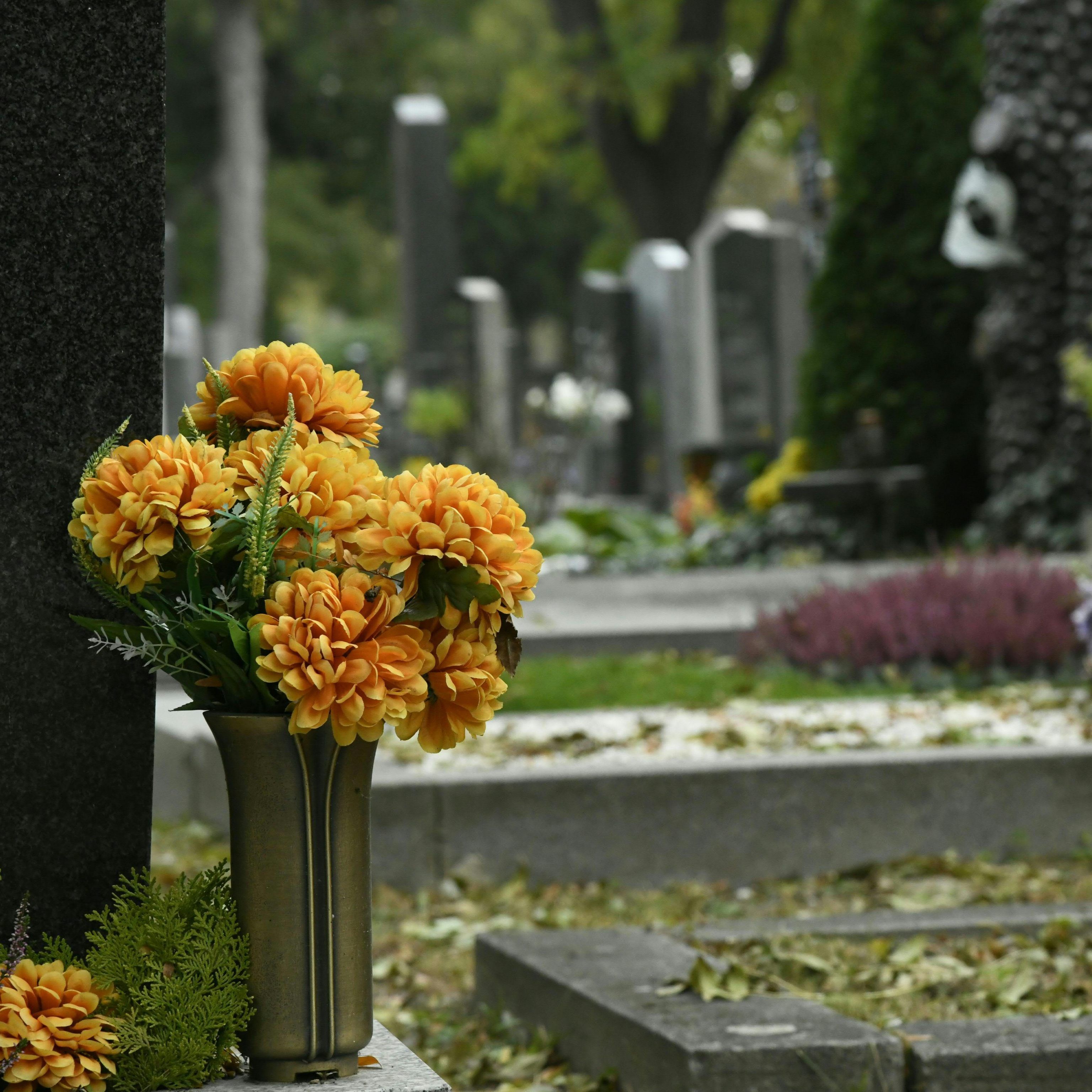 Bereits Wolfgang Ambros hat den Wiener Zentralfriedhof besungen.