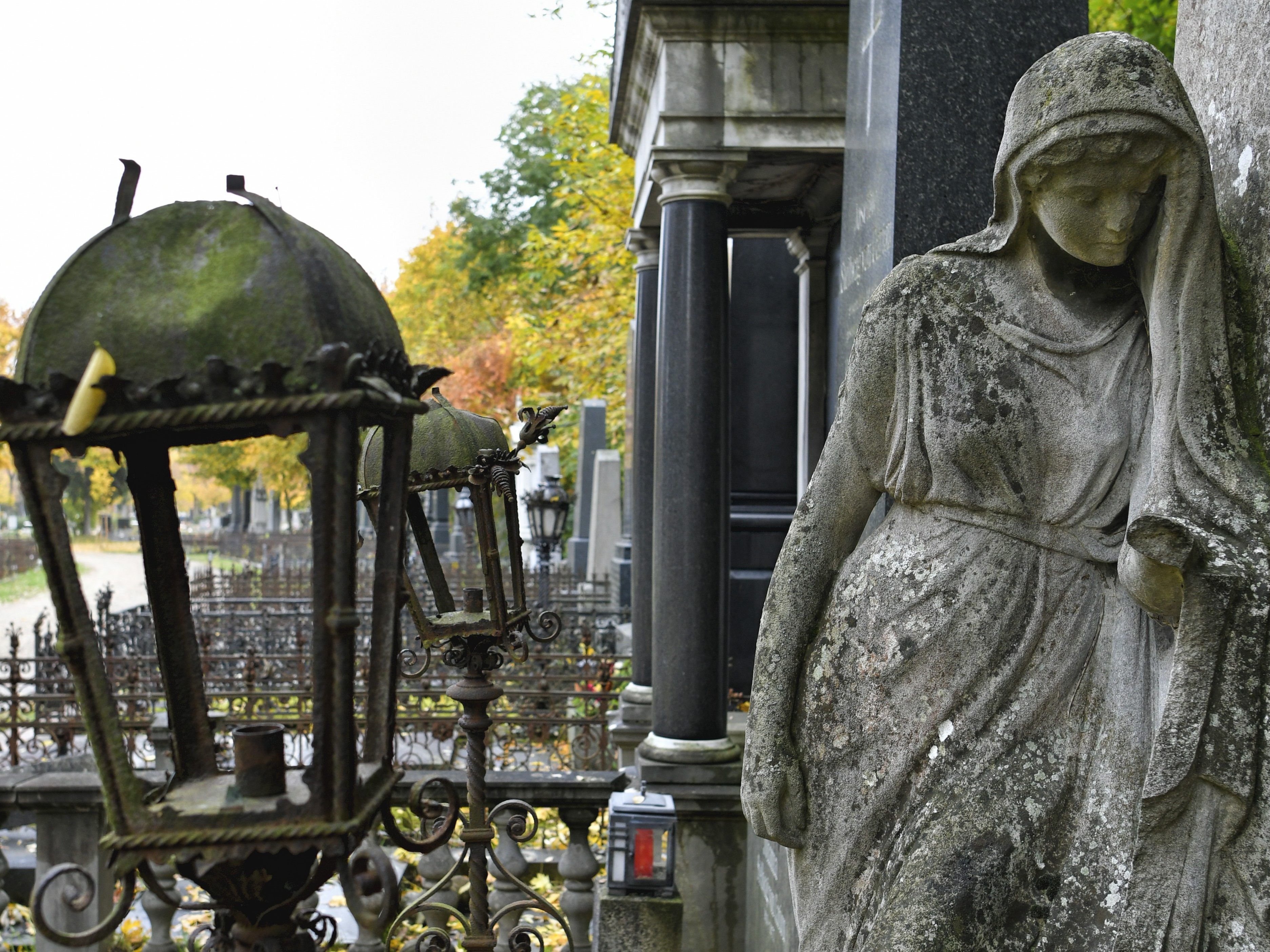 Das Grab am Wiener Zentralfriedhof ist abgelaufen. Das Grab am Wiener Zentralfriedhof ist abgelaufen.