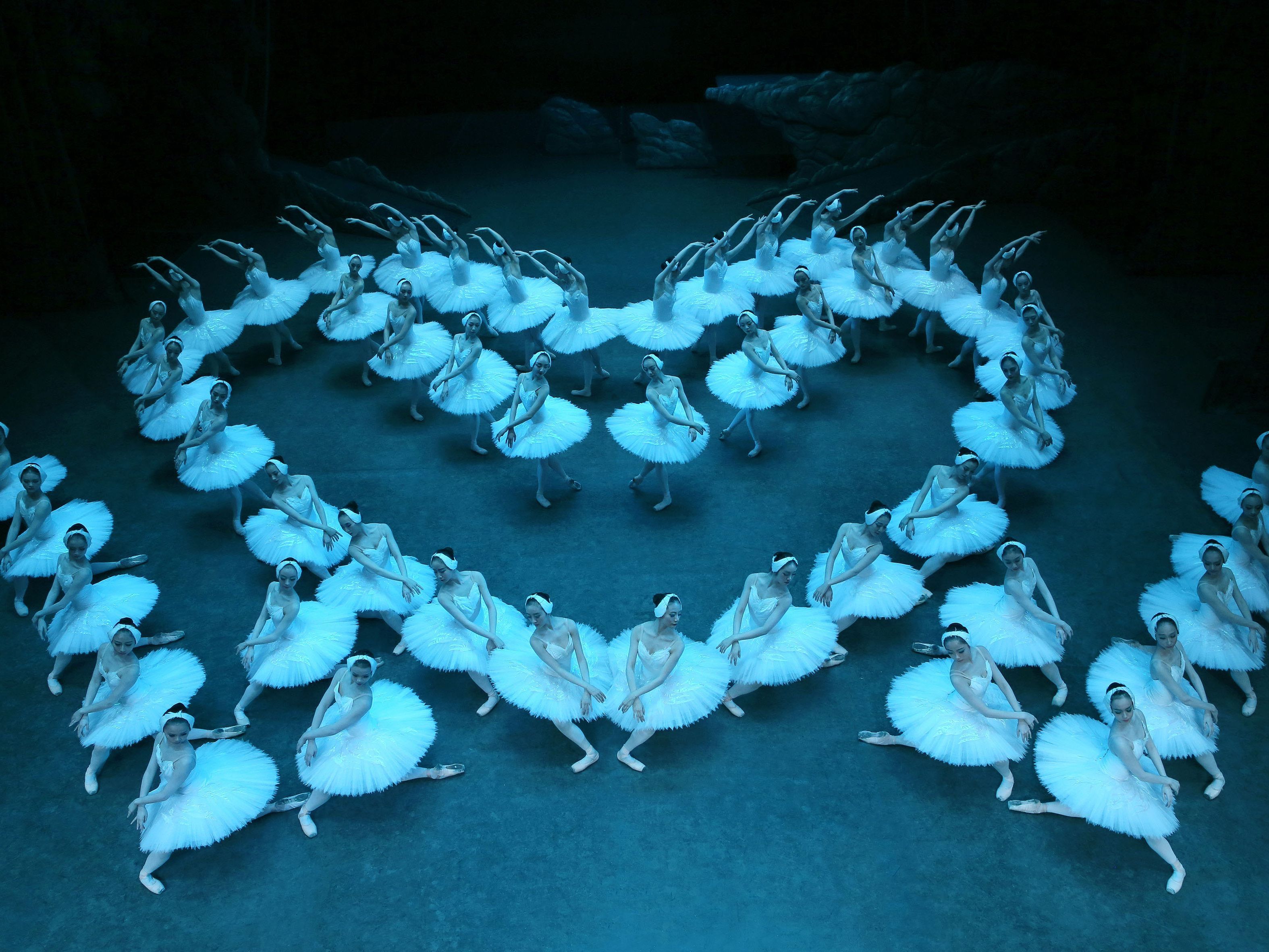 Mit 48 Schwänen ist das Ensemble das größte Schwanensee-Ballett der Welt.