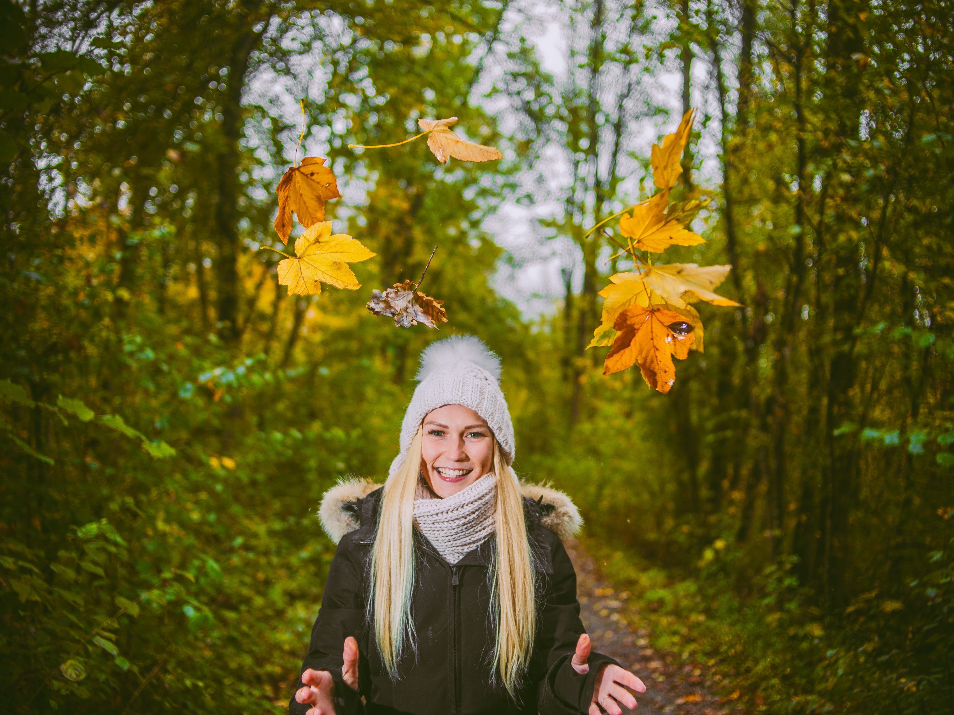 Der Herbst zeigt sich von seiner schönsten Seite.