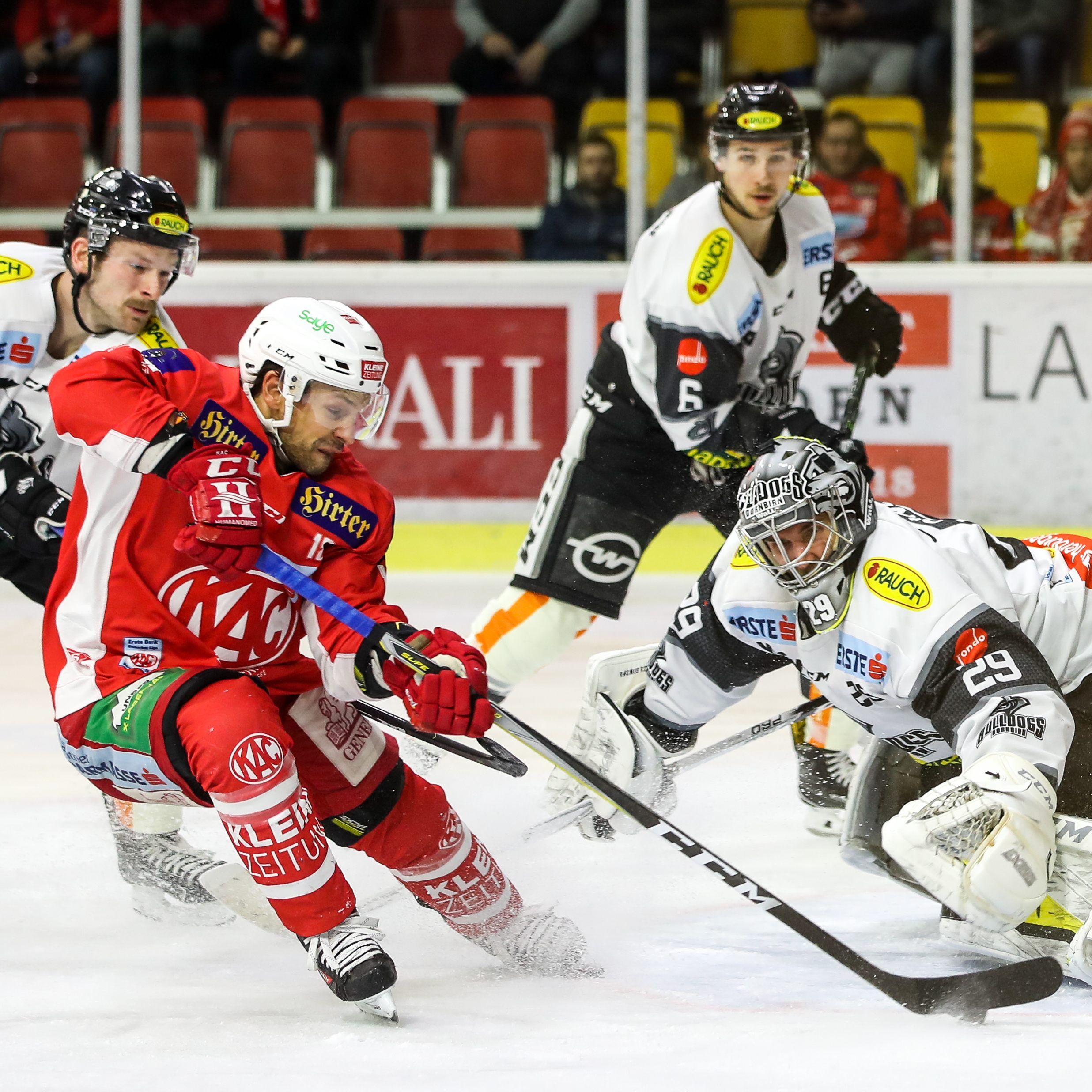 Die Bulldogs und der KAC lieferten sich heute einen harten Kampf.