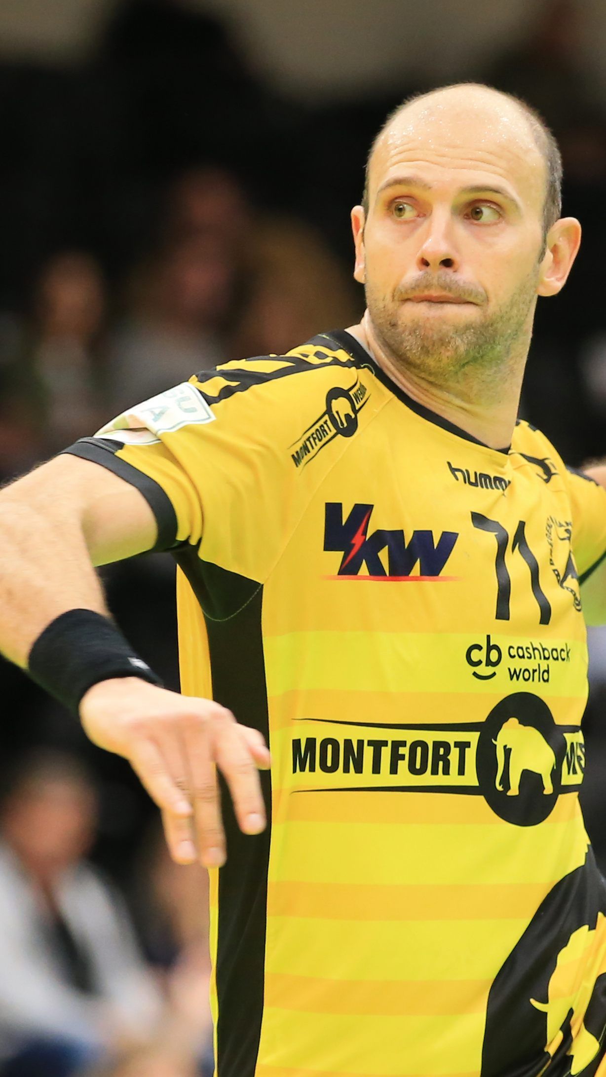 Mitkov und Co. mussten sich zu Hause WestWien geschlagen geben.