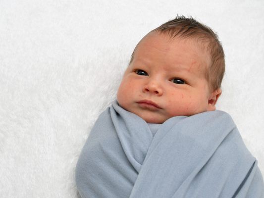 Die Vol.at - Redaktion gratuliert recht herzlich.