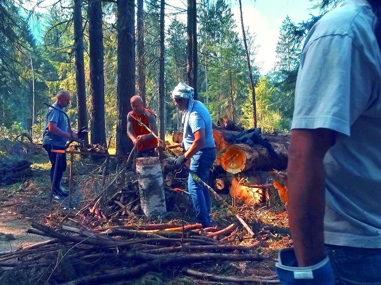 20 Jahre Waldprojekt. 20 Jahre Waldprojekt.