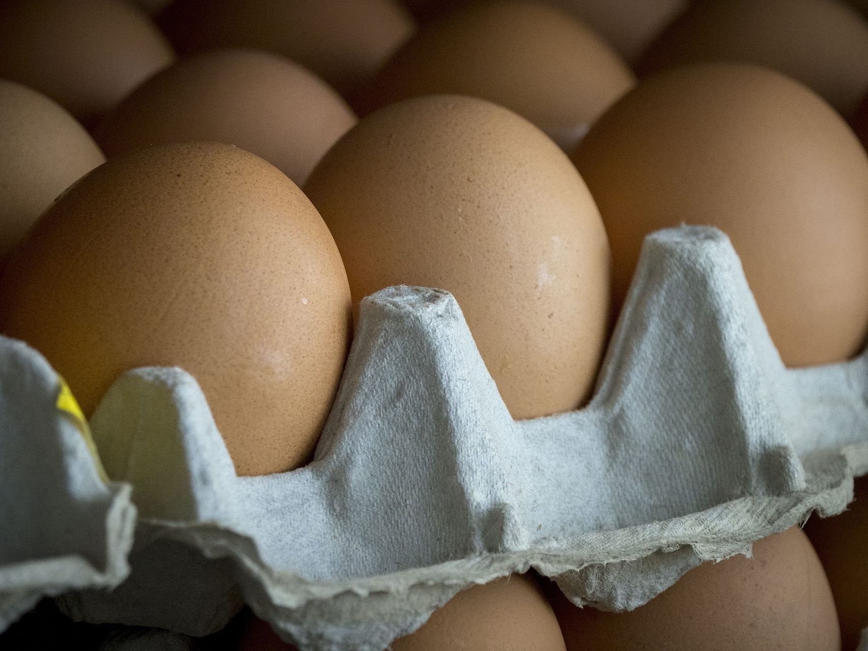 Die Jugendlichen bewarfen das Auto des Polizisten mit Eiern.
