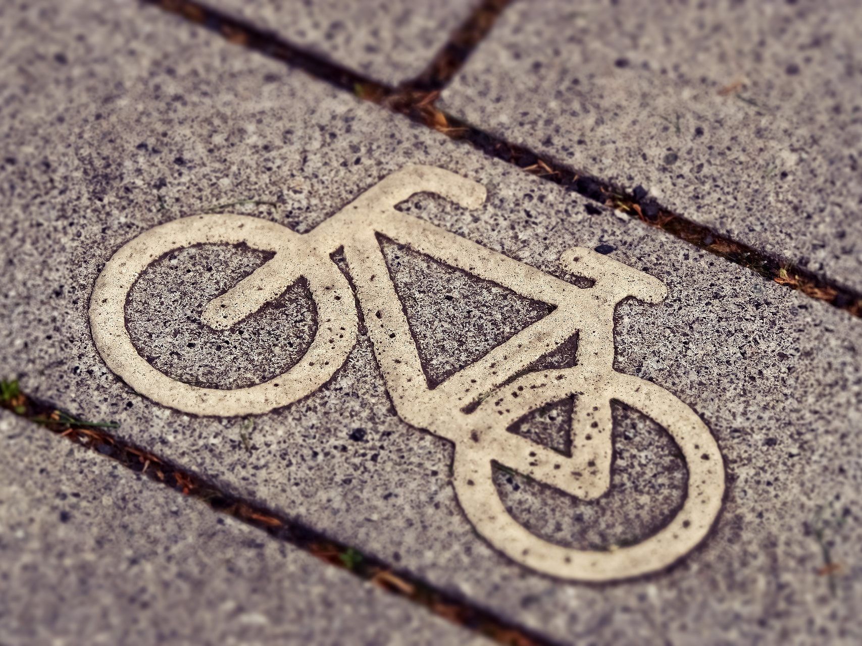 Die Fahrradfahrerin missachtete das Rotlicht auf der Thaliastraße.