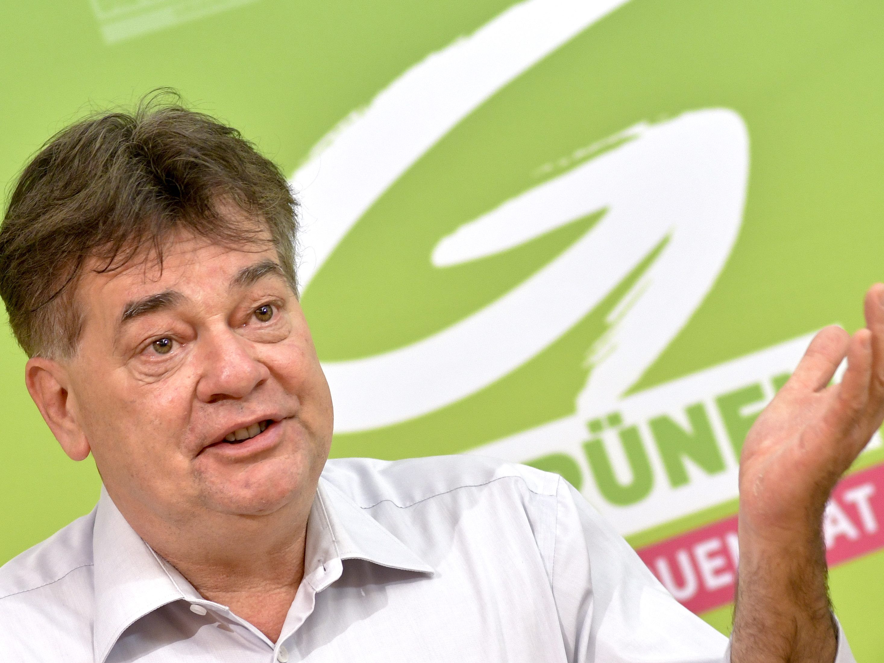 Das sind die Ziele der Grünen bei der EU-Wahl 2019. Das sind die Ziele der Grünen bei der EU-Wahl 2019.