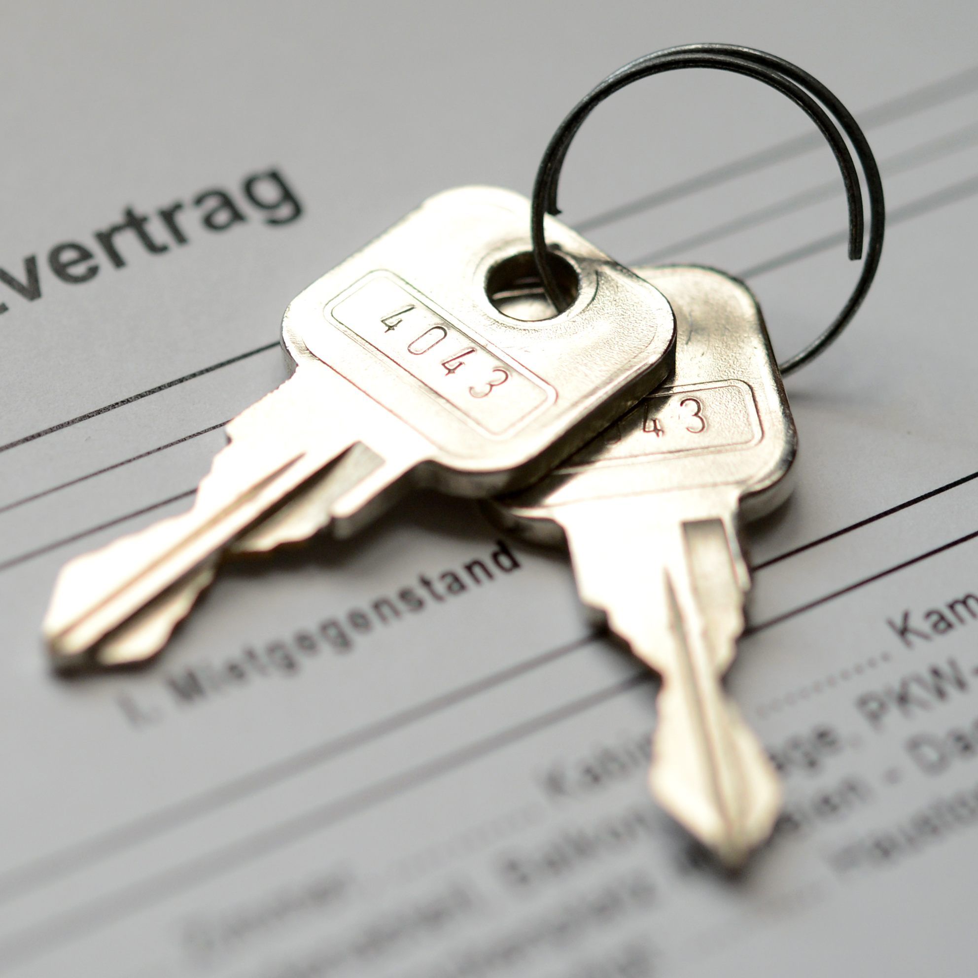 Besonders billige Wohnungen gehen weg wie warme Semmeln.