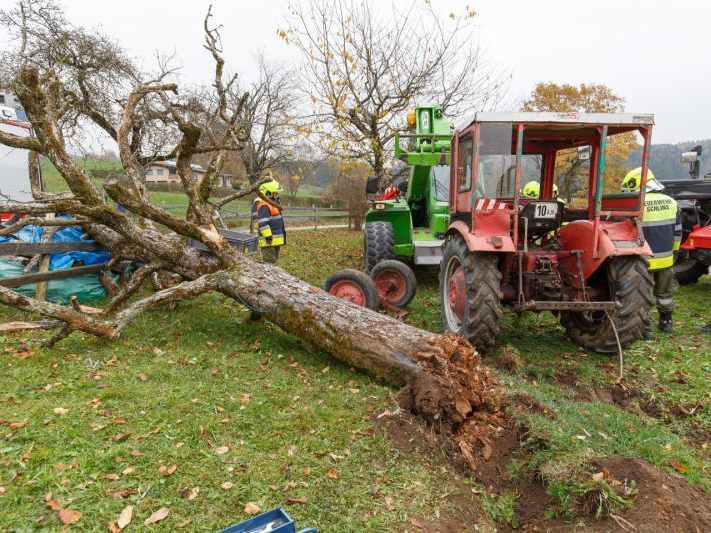 Mit Traktor durch den Gartenzaun gefahren