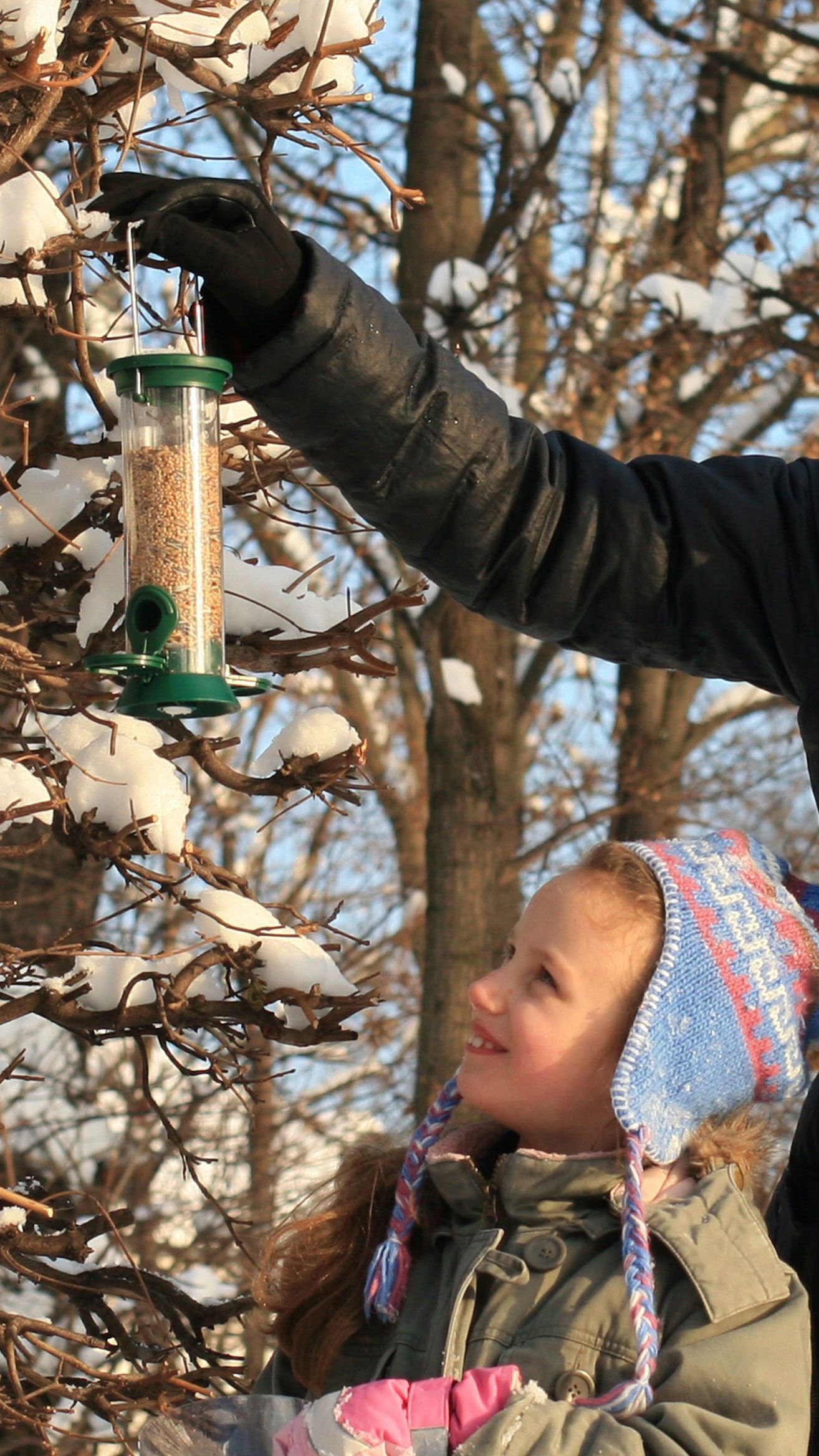 BirdLife Österreich informiert über richtiges Vogelfüttern.