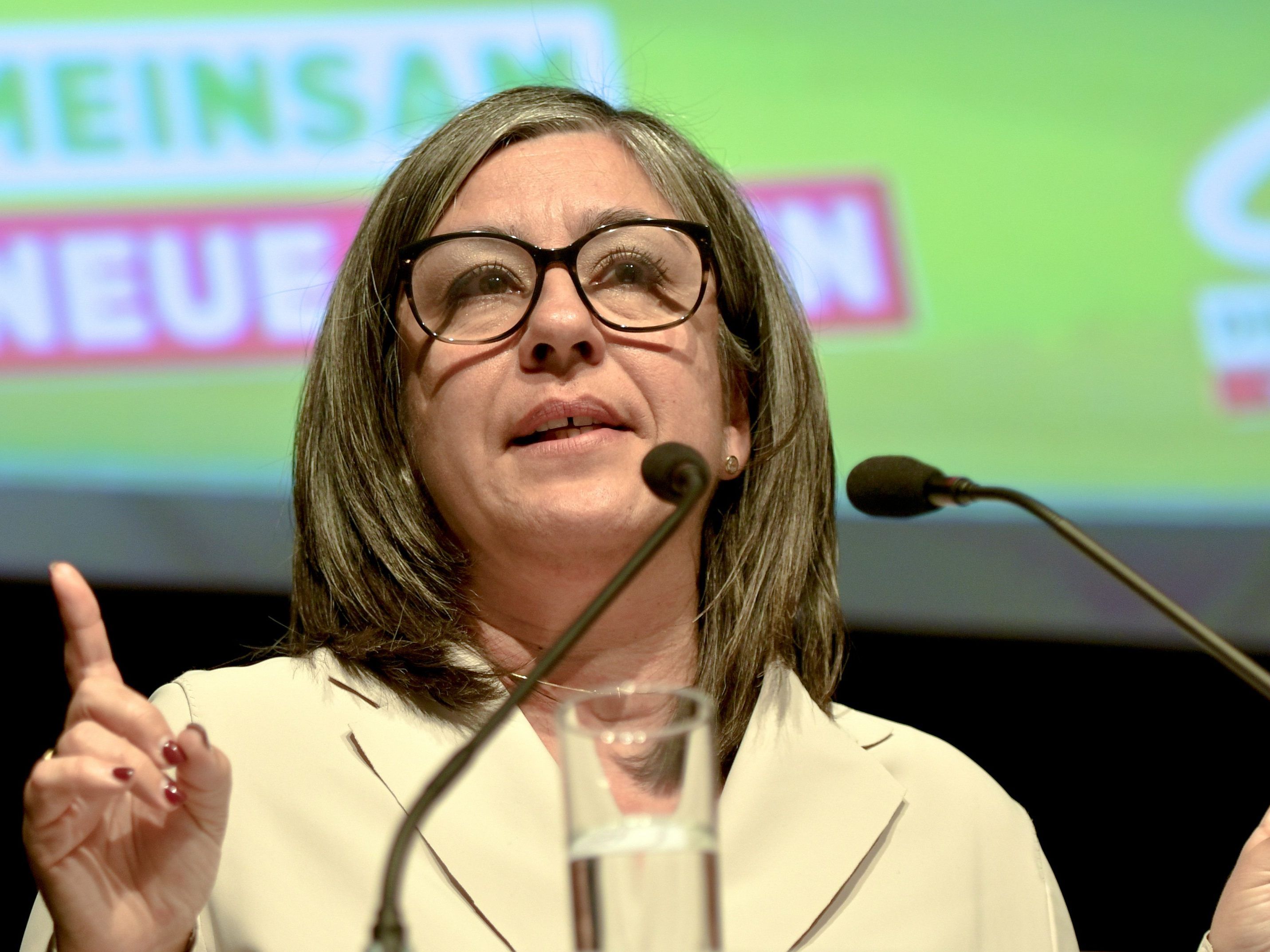 Maria Vassilakou will die Einführung des Parkpickerls in Wien-Hietzing erreichen. Maria Vassilakou will die Einführung des Parkpickerls in Wien-Hietzing erreichen.