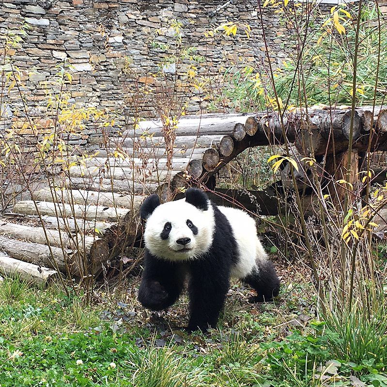 In den nächsten Wochen wird die Betreuung Schritt für Schritt an den neuen Pfleger übergeben.