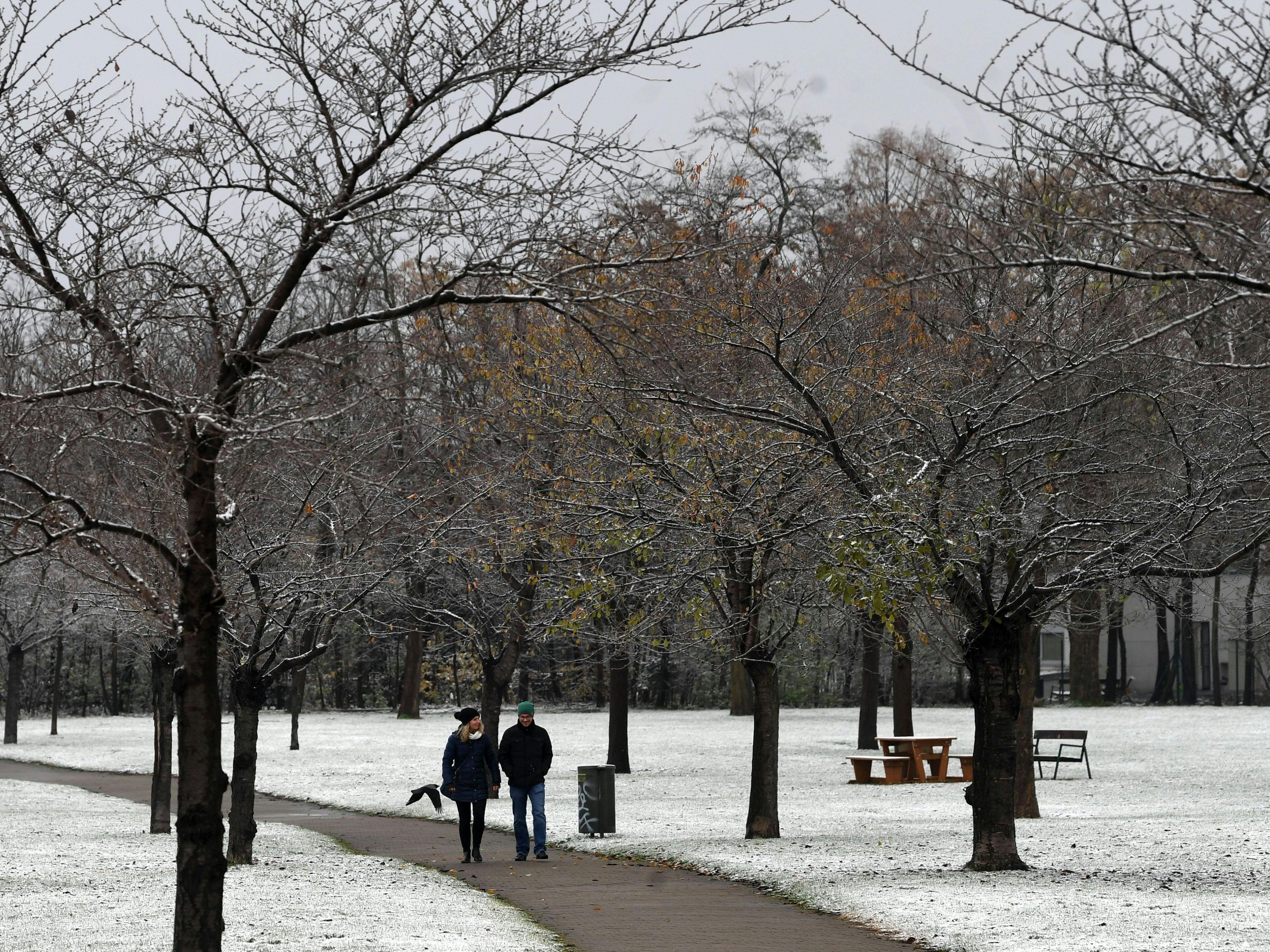 Schnee oder kein Schnee - das ist hier die Frage. Schnee oder kein Schnee - das ist hier die Frage.