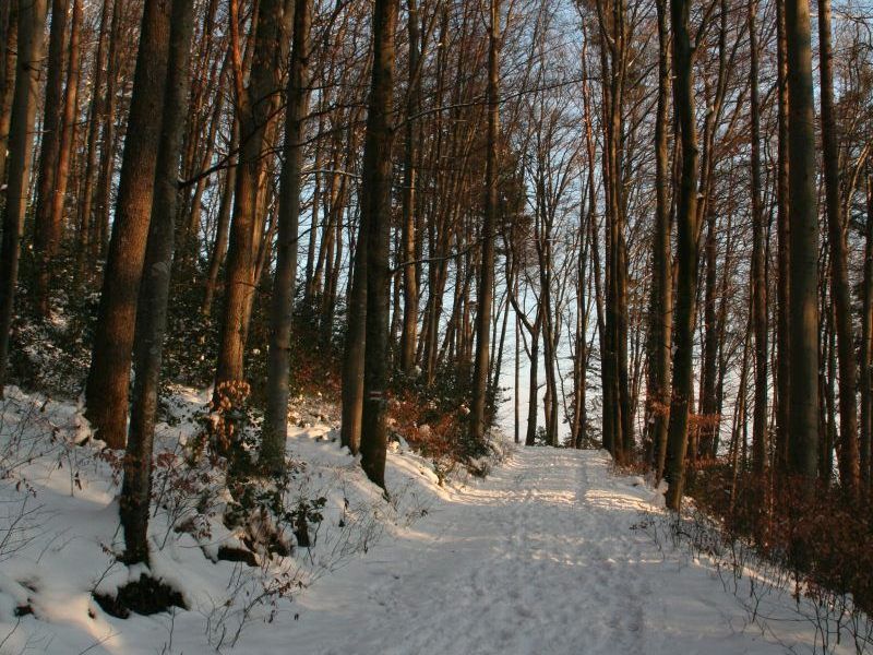 Ruhezeit - Winterzeit