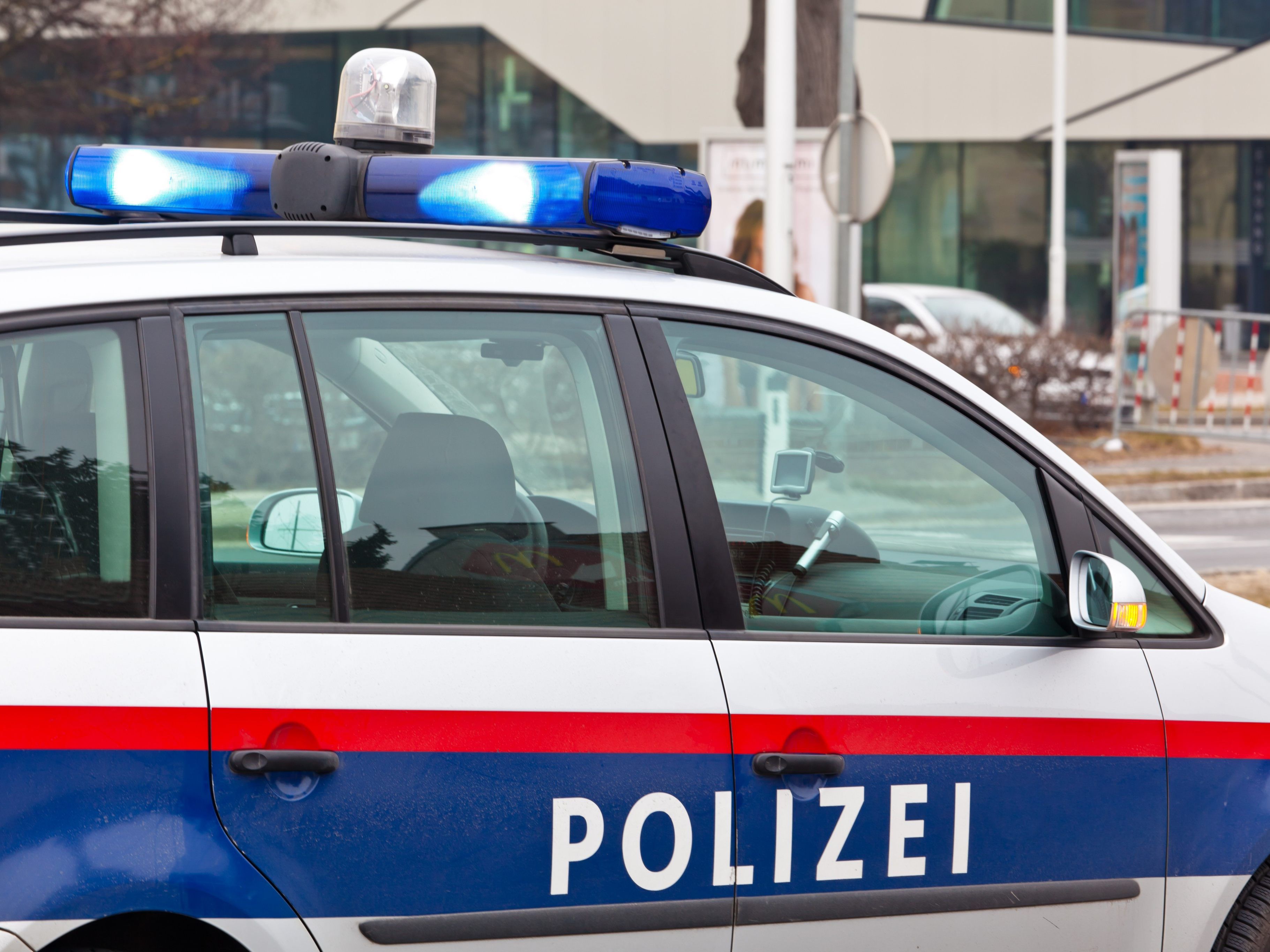 Die Polizei konnte den mutmaßlichen Täter und einen Komplizen festnehmen.