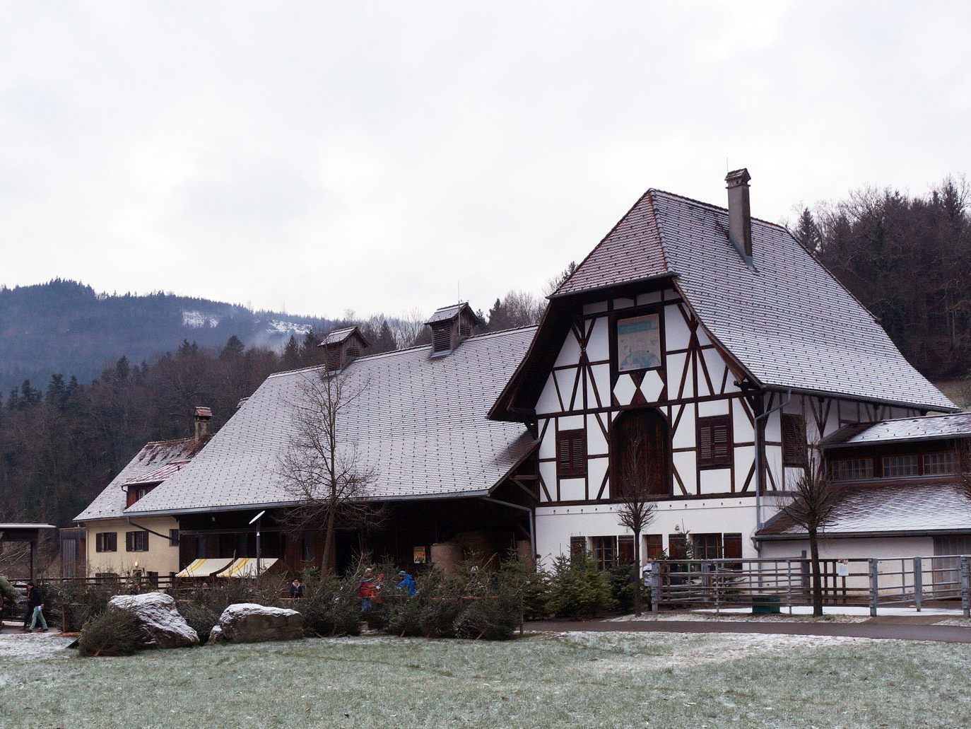 Der Christbaumverkauf startet am Sunnahof am 11. Dezember. Der Christbaumverkauf startet am Sunnahof am 11. Dezember.