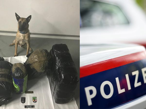 Polizeihund "Action" unterstützte die Beamten bei einer Schwerpunktkontrolle. Polizeihund "Action" unterstützte die Beamten bei einer Schwerpunktkontrolle.