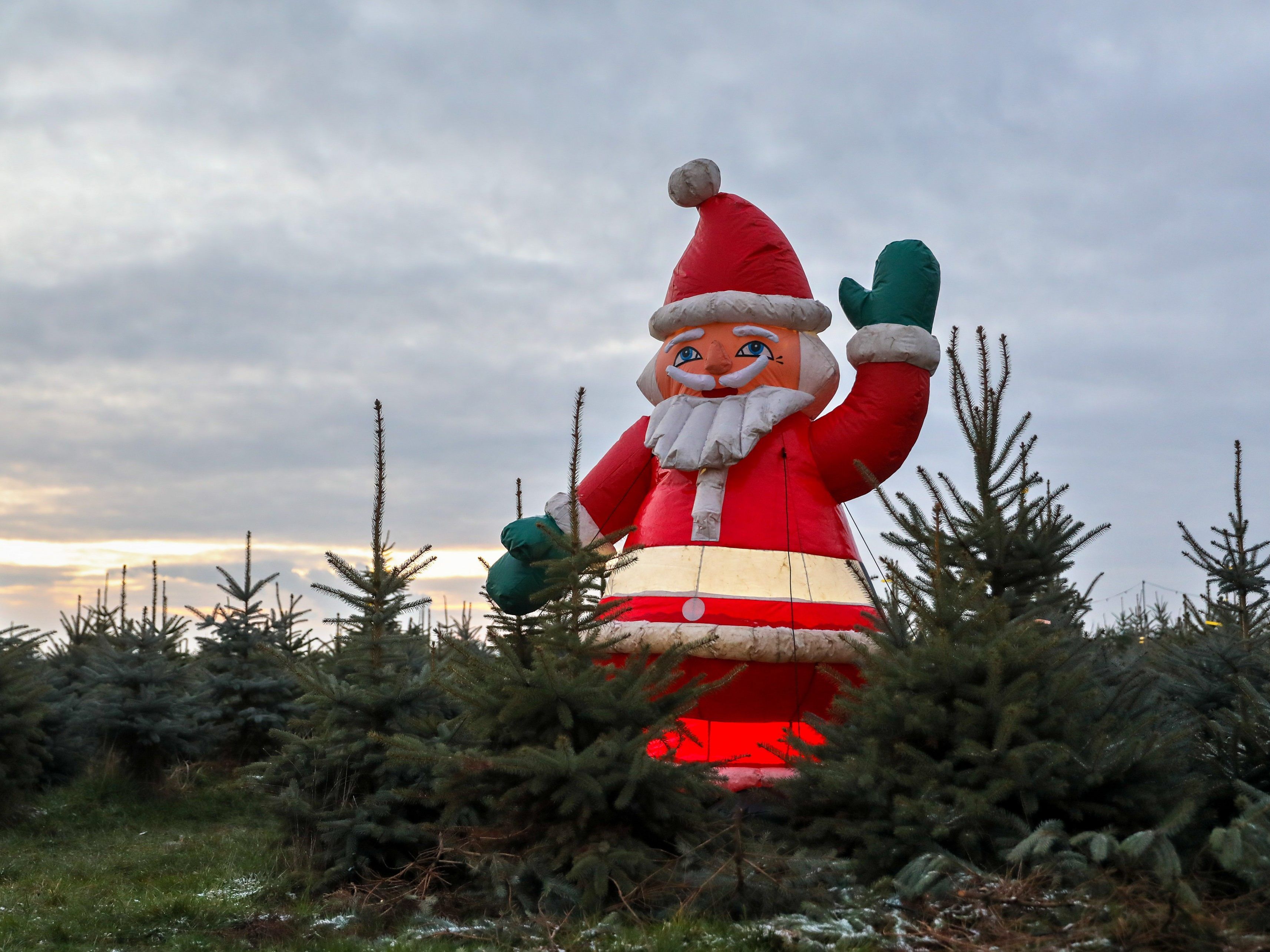 Die Chancen auf weiße Weihnachten gibt es nur am Nordrand der Alpen.