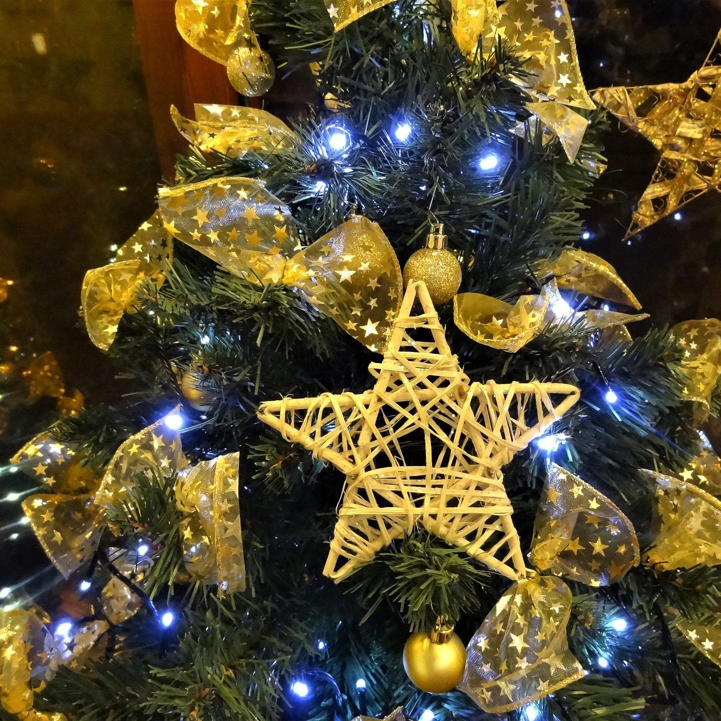 Die Weihnachtsgala findet morgen Abend im Wiener Musikverein statt.