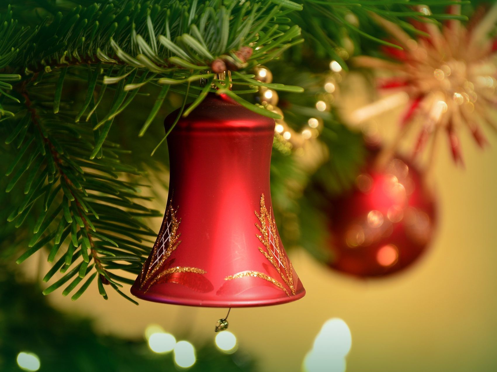 Die MA 48 bittet darum, Schmuck, Lametta etc. vor der Entsorgung aus dem Christbaum zu entfernen. Die MA 48 bittet darum, Schmuck, Lametta etc. vor der Entsorgung aus dem Christbaum zu entfernen.